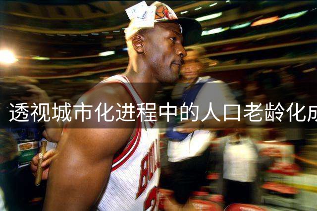 透视城市化进程中的人口老龄化成因