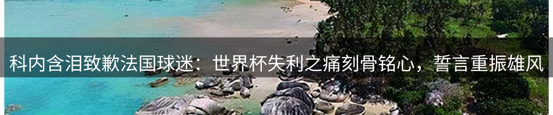 资讯中心